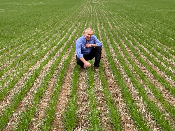 Man on one knee in field amongst rows of crops
